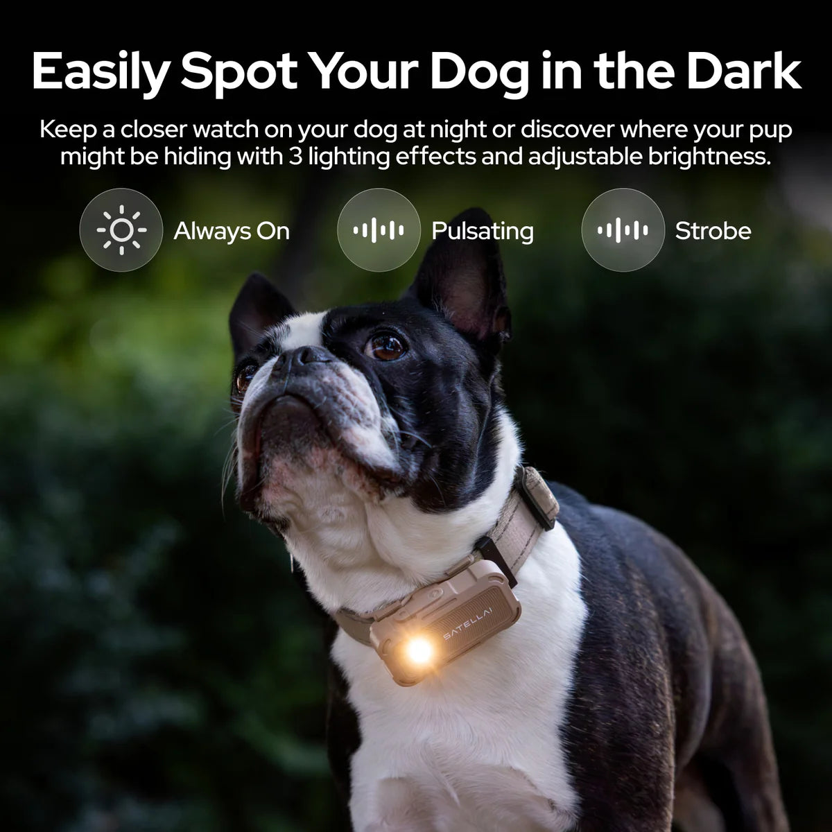Smart GPS Dog Tracker Collar with Live Tracking & Virtual Boundary Alerts, Health Monitoring, Carbon Black, M (13"-18")