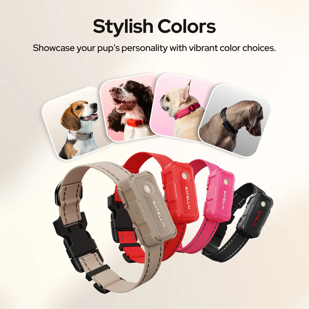Smart GPS Dog Tracker Collar with Live Tracking & Virtual Boundary Alerts, Health Monitoring, Carbon Black, M (13"-18")