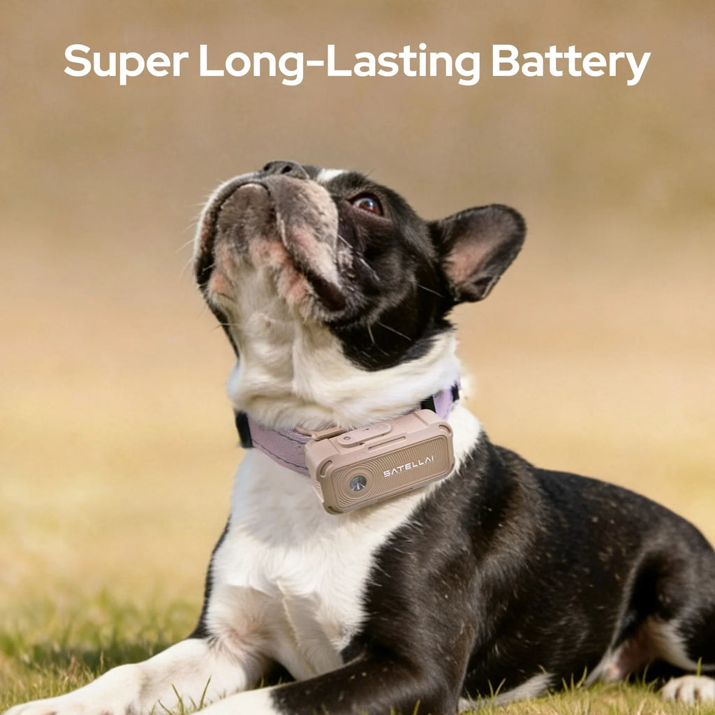 Smart GPS Dog Tracker Collar with Live Tracking & Virtual Boundary Alerts, Health Monitoring, Carbon Black, M (13"-18")