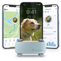 Rastreador Inteligente GPS Para Perro Con Monitoreo De Signos Vitales (Menta)