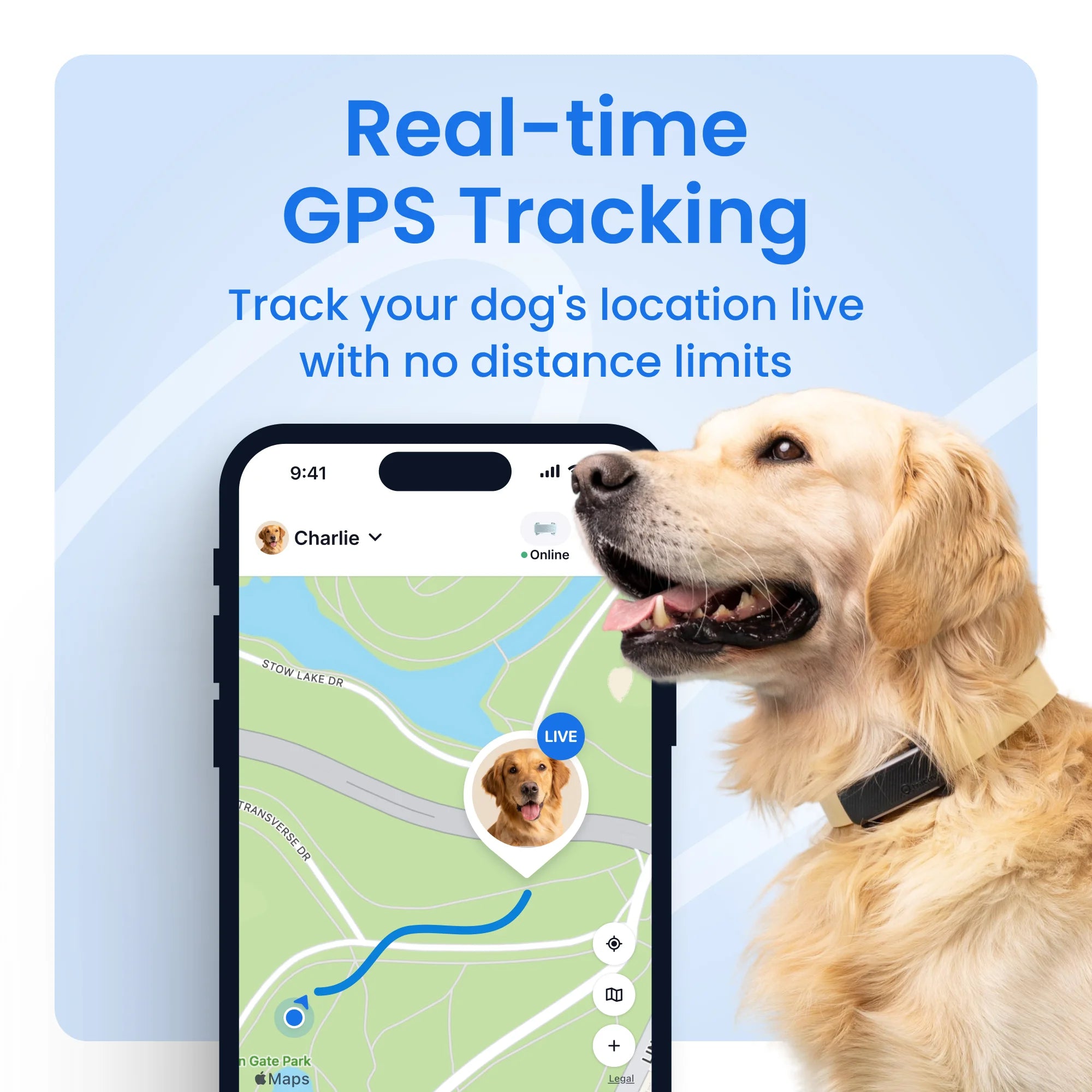 Rastreador Inteligente GPS Para Perro Con Monitoreo De Signos Vitales (Menta)