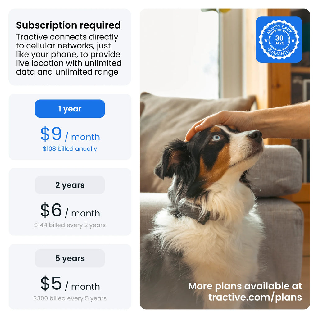 Rastreador Inteligente GPS Para Perro Con Monitoreo De Signos Vitales (Menta)