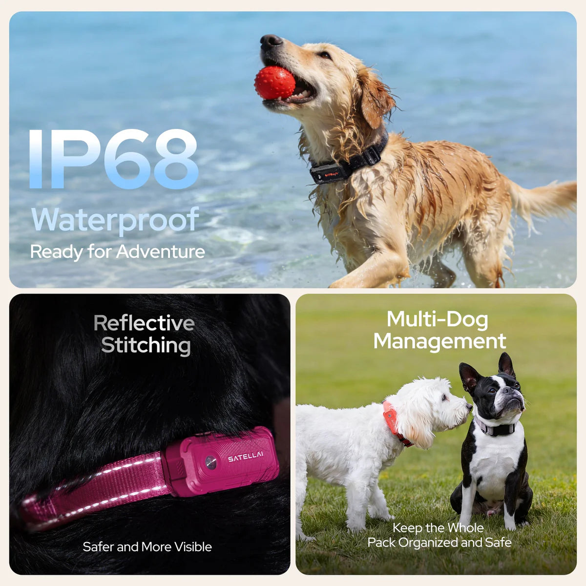 Smart GPS Dog Tracker Collar with Live Tracking & Virtual Boundary Alerts, Health Monitoring, Carbon Black, M (13"-18")